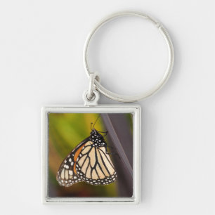 Monarch Butterfly op Agave Sleutelhanger