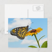 Monarch Butterfly op Black Eyed Susan Briefkaart (Voorkant / Achterkant)