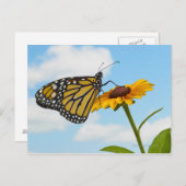 Monarch Butterfly op Black Eyed Susan Briefkaart (Voorkant / Achterkant)