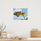 Monarch Butterfly op Black Eyed Susan Poster (Keuken)