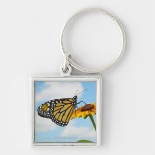 Monarch Butterfly op Black Eyed Susan Sleutelhanger