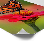 Monarch Butterfly op Bright Roze Zinnia Poster (Hoek)