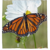 Monarch Butterfly op Cosmos Douchegordijn (Voorkant)