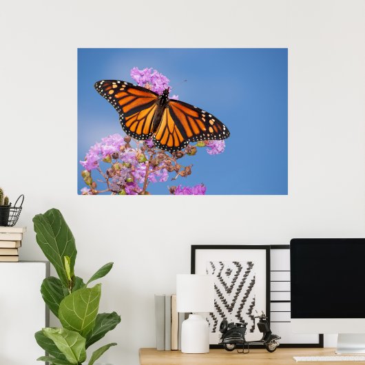 Monarch Butterfly op Crapmyrtle Poster (Thuiskantoor)