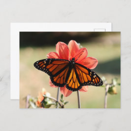 Monarch Butterfly op een Dahlia Blank Briefkaart