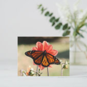 Monarch Butterfly op een Dahlia Blank Briefkaart (Staand voorkant)