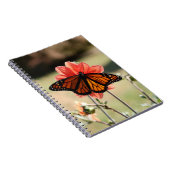 Monarch Butterfly op een Dahlia Blank Notitieboek (Rechterzijde)