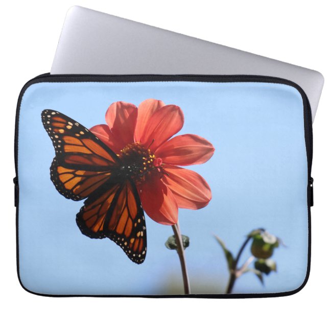 Monarch Butterfly op een Dahlia Laptop Sleeve (Voorkant)