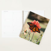 Monarch Butterfly op een Dahlia Planner (Display)