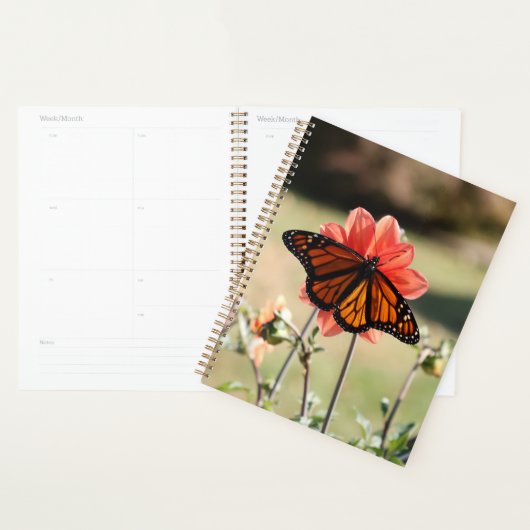 Monarch Butterfly op een Dahlia Planner (Display)