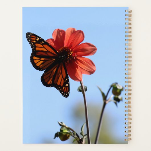 Monarch Butterfly op een Dahlia Planner (Achterkant)