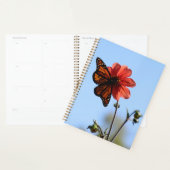 Monarch Butterfly op een Dahlia Planner (Display)