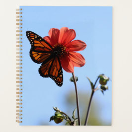 Monarch Butterfly op een Dahlia Planner