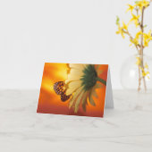 Monarch Butterfly op een Daisy Blank Kaart (Gele Bloem)