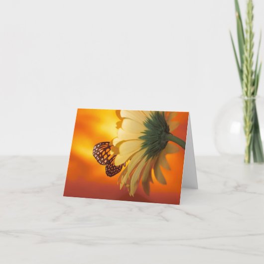 Monarch Butterfly op een Daisy Blank Kaart (Voorkant)