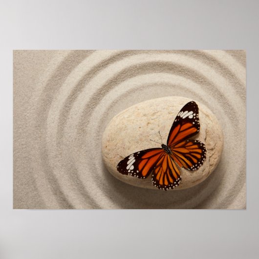 Monarch Butterfly op een steen in een Zen Garden Poster (Voorkant)