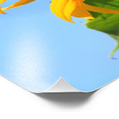 Monarch Butterfly op een zonnebloem Foto Afdruk (Hoek)