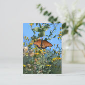 Monarch Butterfly op gele wilde bloemen Briefkaart (Staand voorkant)
