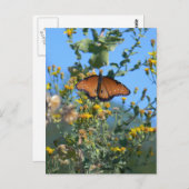 Monarch Butterfly op gele wilde bloemen Briefkaart (Voorkant / Achterkant)