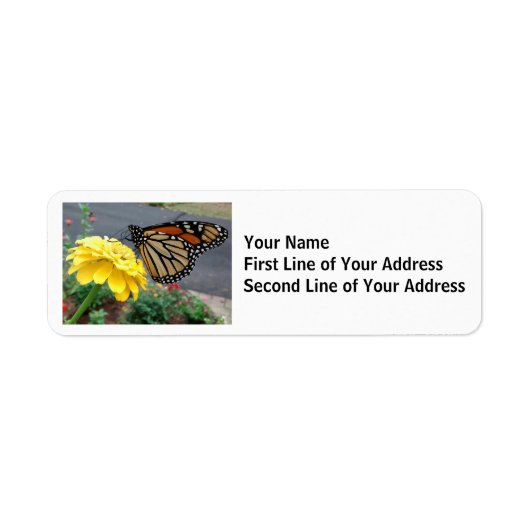 Monarch Butterfly op Gele Zinnia Etiket (Voorkant)