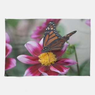 Monarch Butterfly op Hot Pink Dahlia Bloem Foto Theedoek