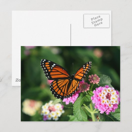 Monarch Butterfly op Lantana Flower Briefkaart (Voorkant / Achterkant)