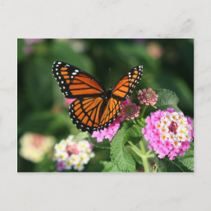 Monarch Butterfly op Lantana Flower Briefkaart
