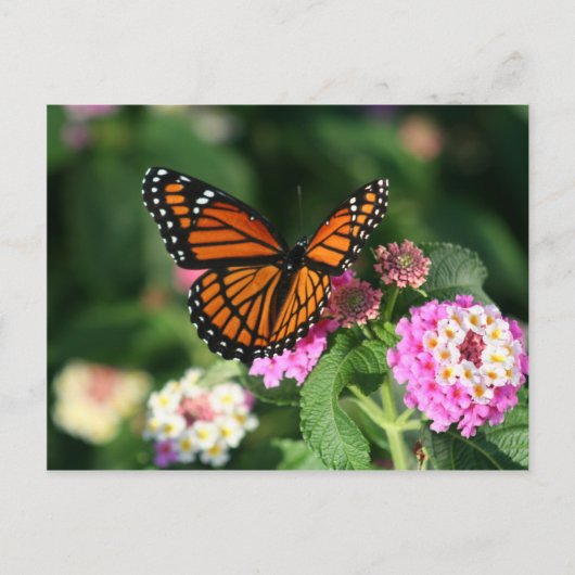 Monarch Butterfly op Lantana Flower Briefkaart (Voorkant)