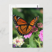 Monarch Butterfly op Lantana Flower Briefkaart (Voorkant / Achterkant)