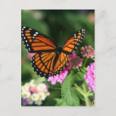 Monarch Butterfly op Lantana Flower Briefkaart (Voorkant)