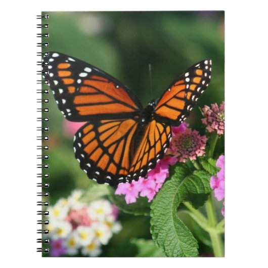 Monarch Butterfly op Lantana Flowers.Notebook Notitieboek (Voorkant)