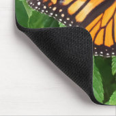 Monarch Butterfly op Lantana Muismat (Hoek)