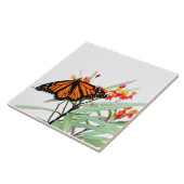 Monarch Butterfly op Milkweed Blooms op White Tegeltje (Zijkant)