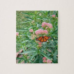 Monarch Butterfly op Milkweed Legpuzzel