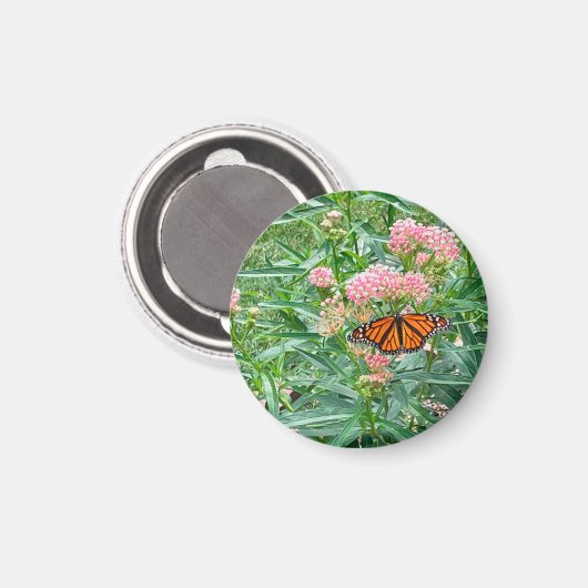 Monarch Butterfly op Milkweed Magneet (Voorkant / Achterkant)