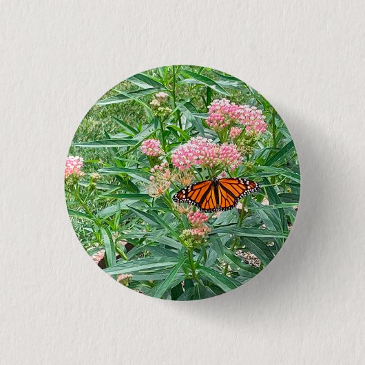 Monarch Butterfly op Milkweed Ronde Button 3,2 Cm (Voorkant)