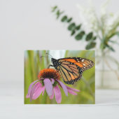 Monarch Butterfly op Paarse Coneflower Foto Briefkaart (Staand voorkant)