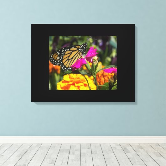Monarch Butterfly op roze marigold Canvas Afdruk (Insitu (Houten vloer))