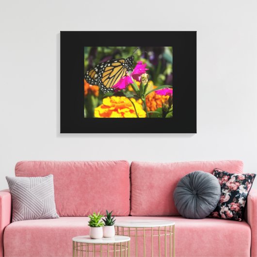 Monarch Butterfly op roze marigold Canvas Afdruk (Insitu (Woonkamer))