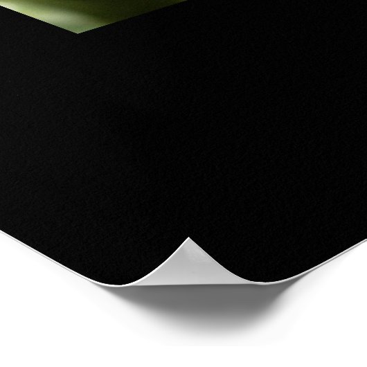 Monarch Butterfly op roze marigolfbloem Poster (Hoek)