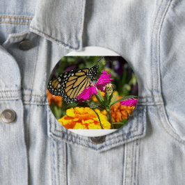 Monarch Butterfly op roze marigolfbloem Ronde Button 4,0 Cm