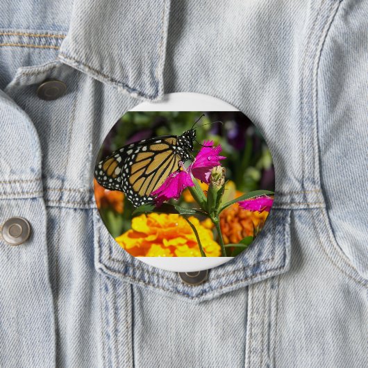 Monarch Butterfly op roze marigolfbloem Ronde Button 4,0 Cm (In situ)