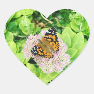 Monarch Butterfly op Stonecrop Flowers Hart Sticker