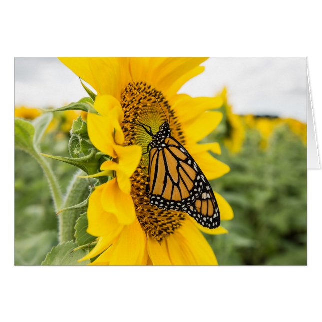 Monarch Butterfly op Sunflower Notecard (Voorkant Horizontaal)