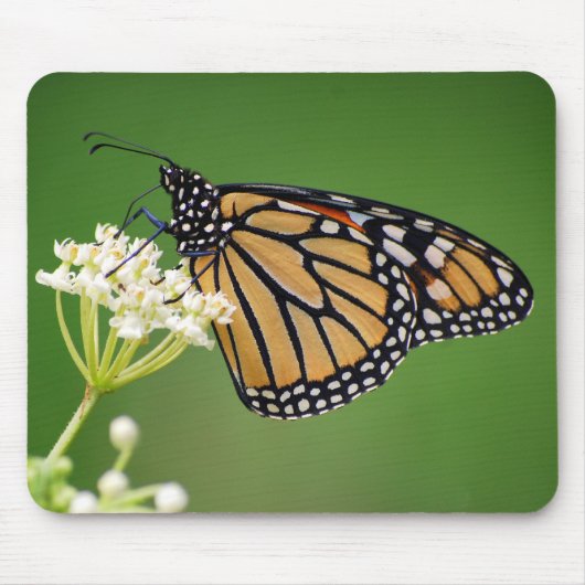 Monarch Butterfly op Swamp Milkweed Mousepad Muismat (Voorkant)