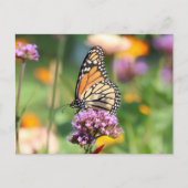 Monarch Butterfly op Verbena Blank Briefkaart (Voorkant)