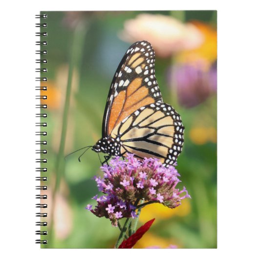 Monarch Butterfly op Verbena Blank Notitieboek (Voorkant)