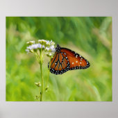 Monarch Butterfly op Wildflowers Waterverf Art Poster (Voorkant)