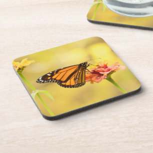 Monarch Butterfly op Zinnia Bier Onderzetter