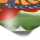 Monarch Butterfly op Zinnia Foto Afdruk (Hoek)